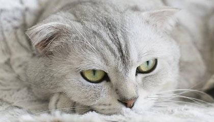 ky体育-英雄联盟 新版本平衡性调整，英雄联盟平衡机制