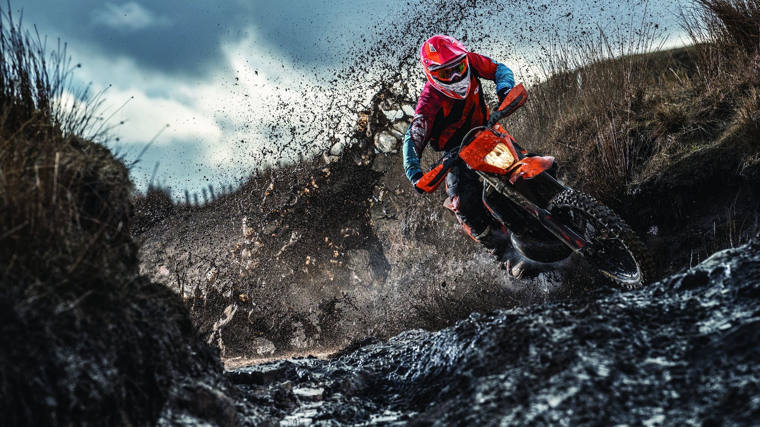 电竞行业的知识产权保护:打击盗版与维护创新,电竞版权号